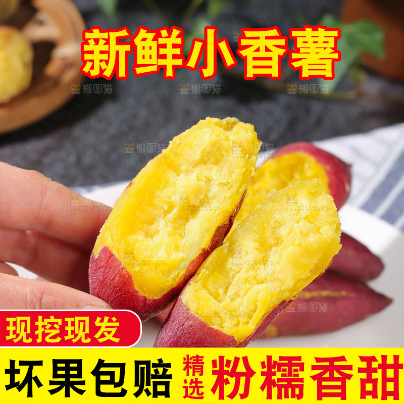 小香薯