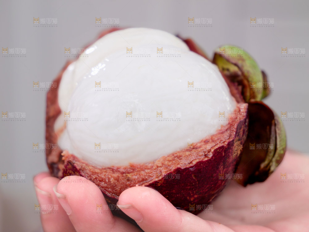 山竹
