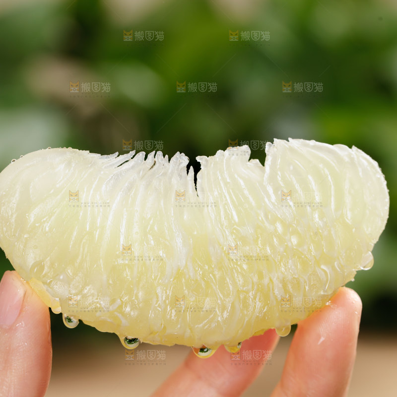 泰国青柚