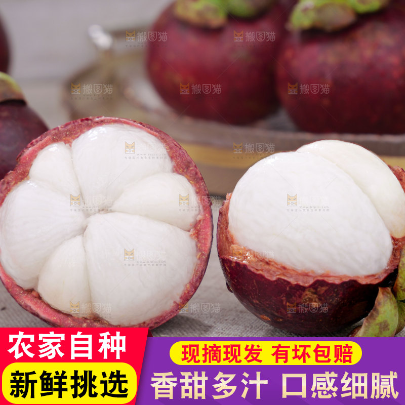 山竹
