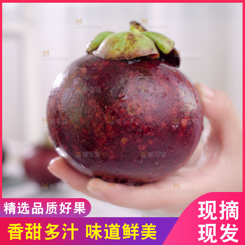 山竹
