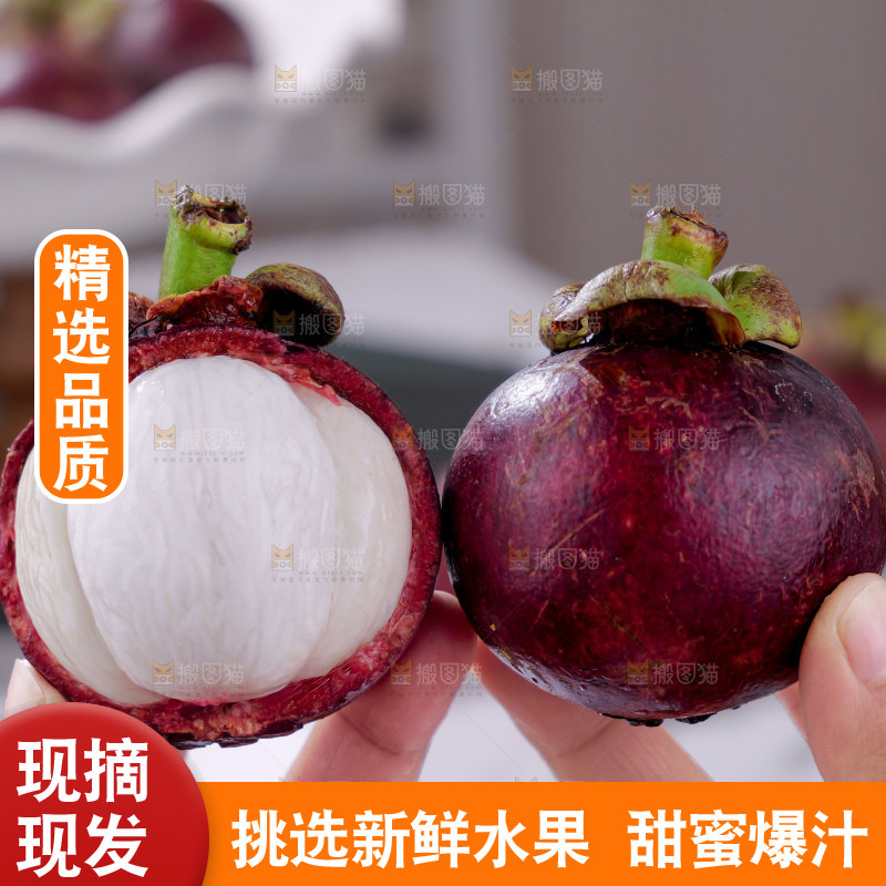 山竹