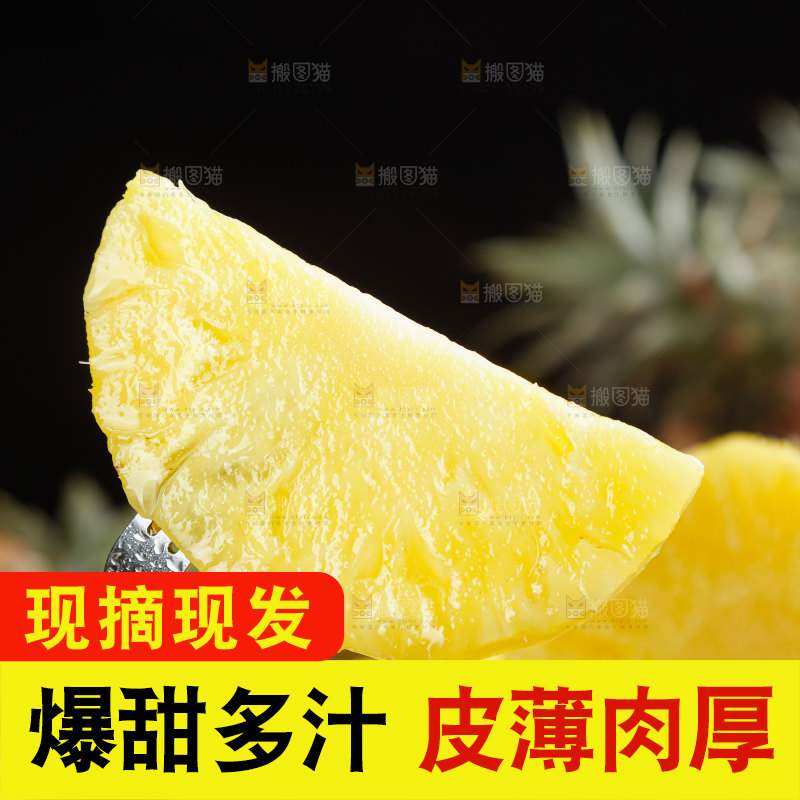 金钻凤梨