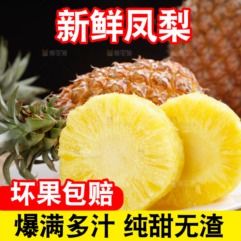 金钻凤梨