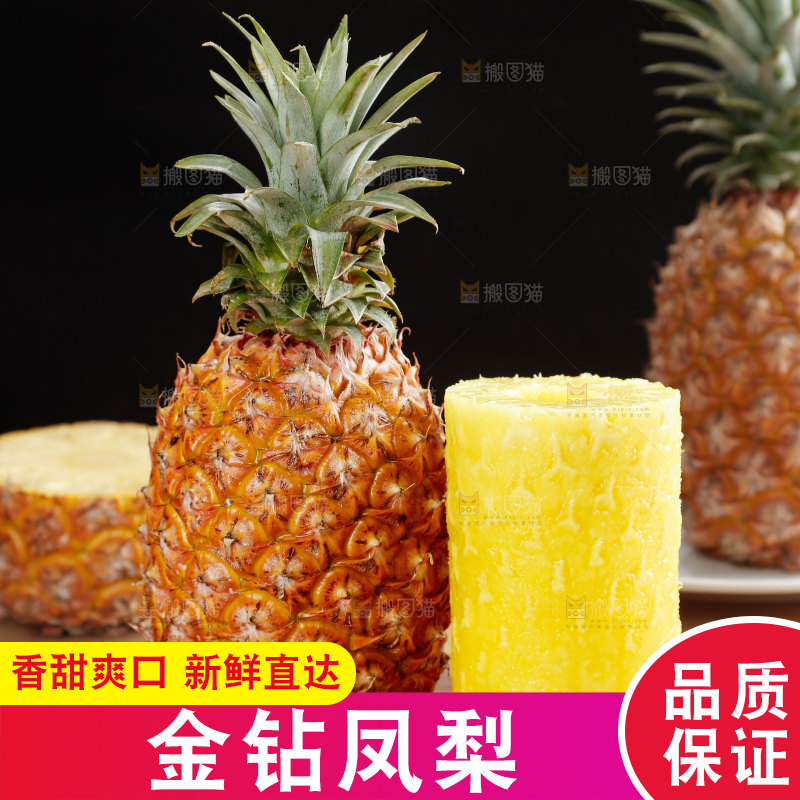 金钻凤梨
