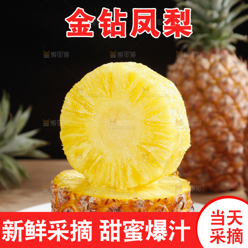 金钻凤梨
