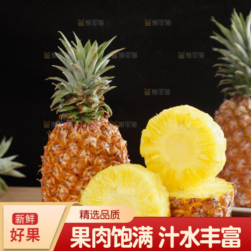 金钻凤梨