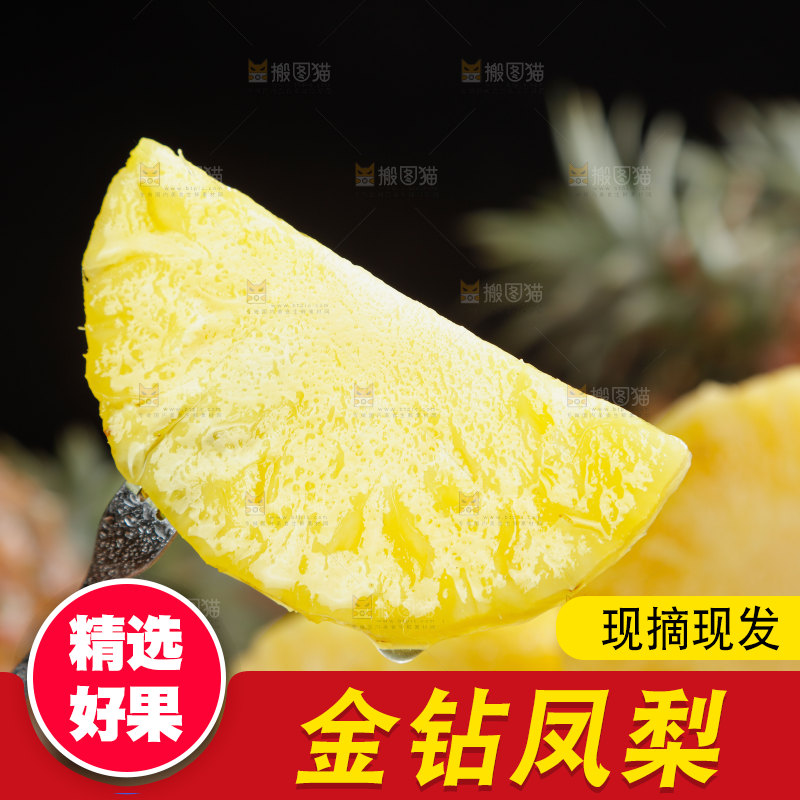 金钻凤梨