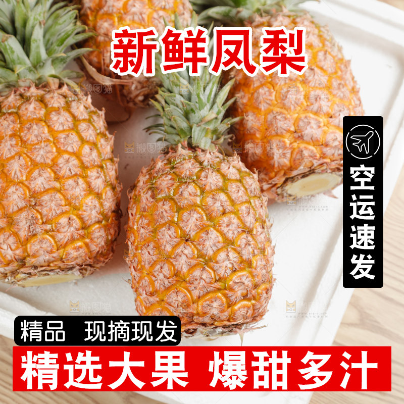 金钻凤梨