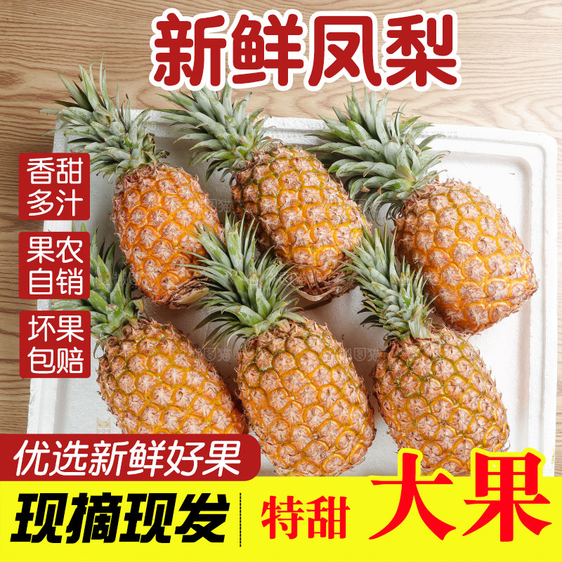 金钻凤梨