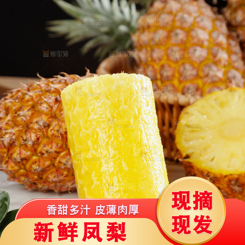 金钻凤梨