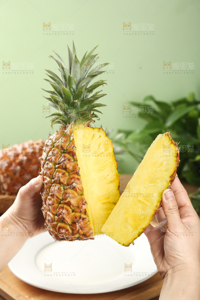 金钻凤梨