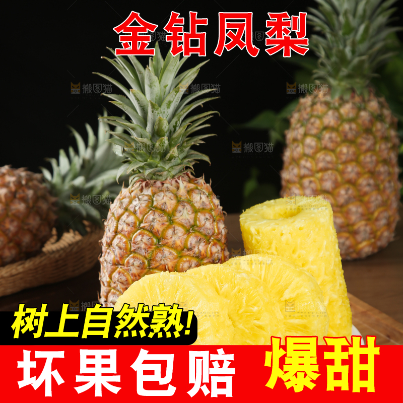 金钻凤梨