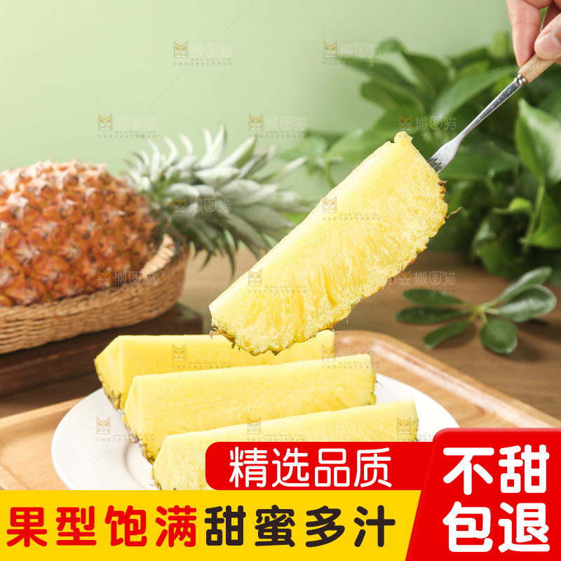 金钻凤梨
