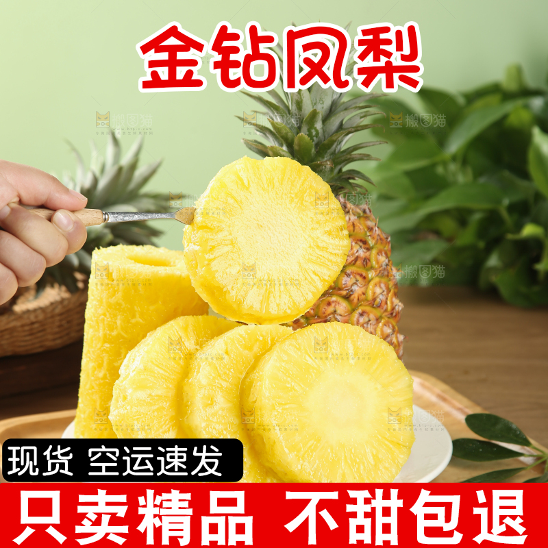 金钻凤梨