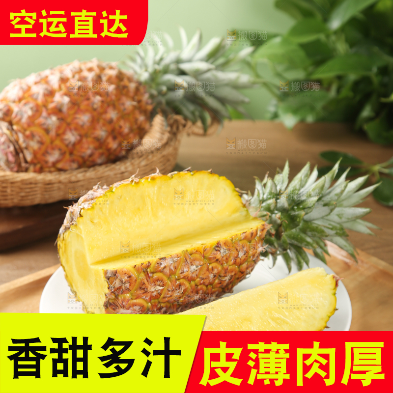 金钻凤梨