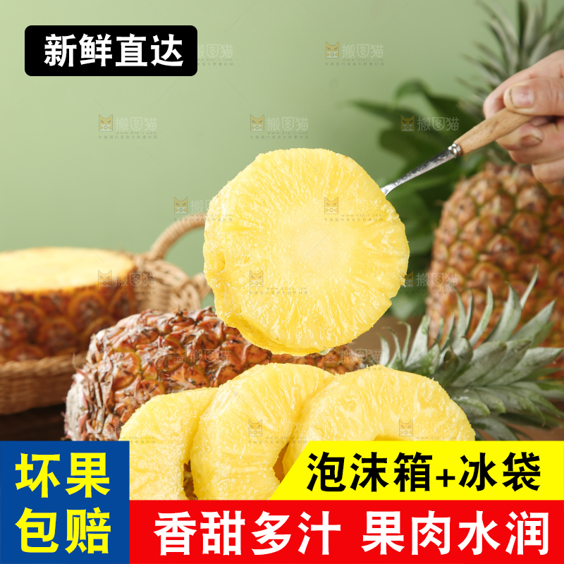 金钻凤梨