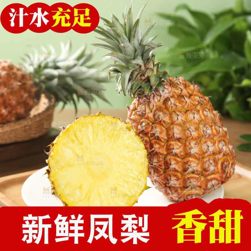 金钻凤梨