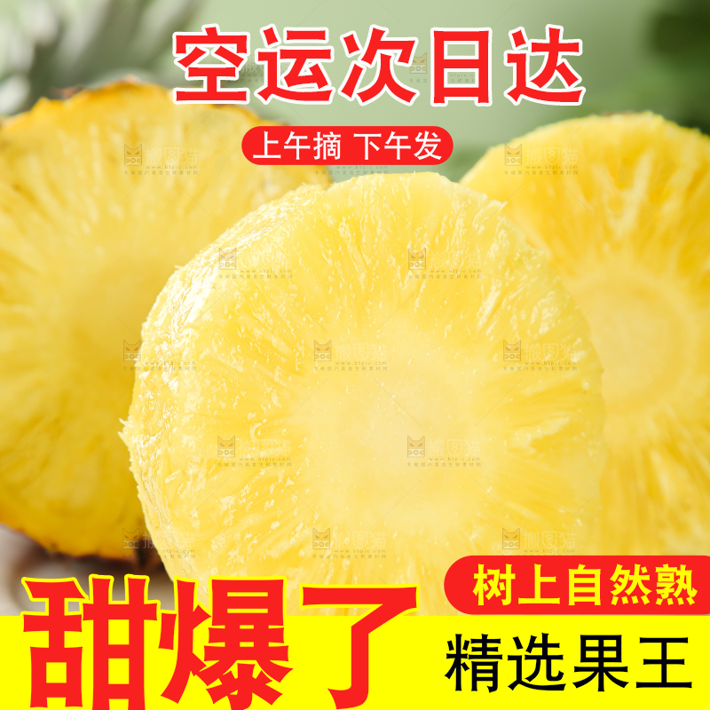 金钻凤梨