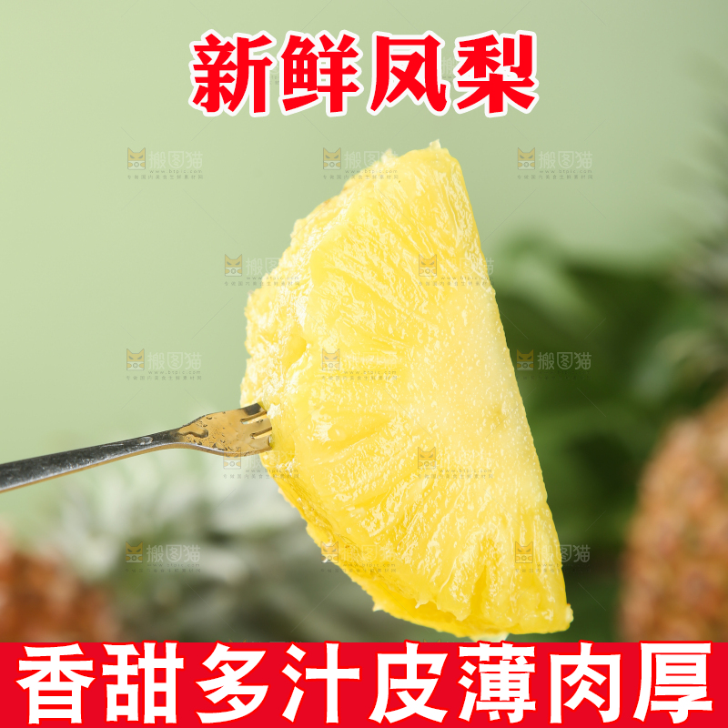 金钻凤梨