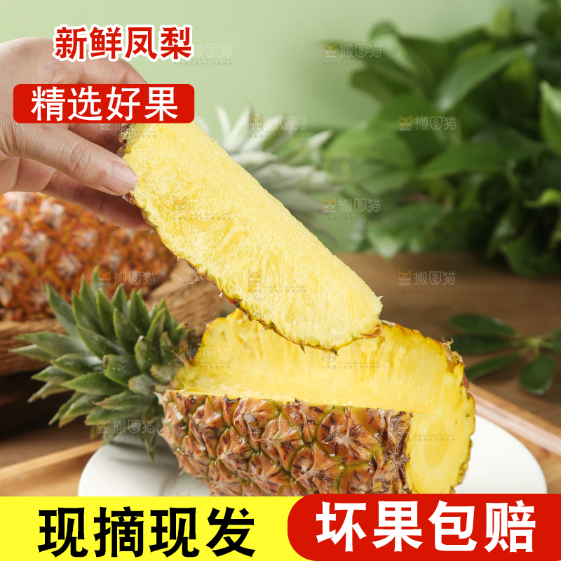 金钻凤梨