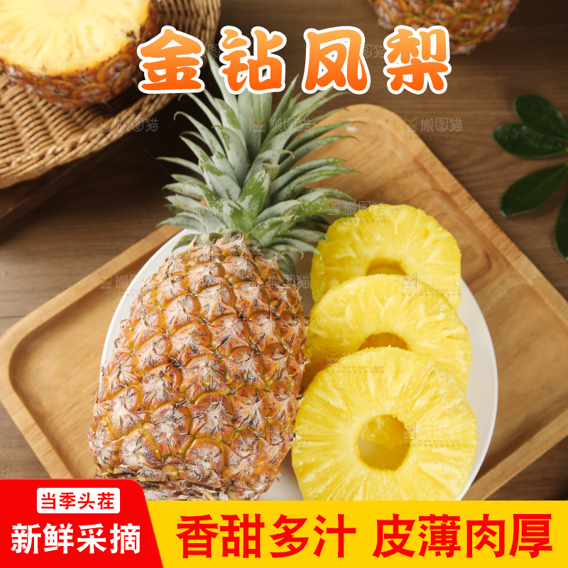 金钻凤梨