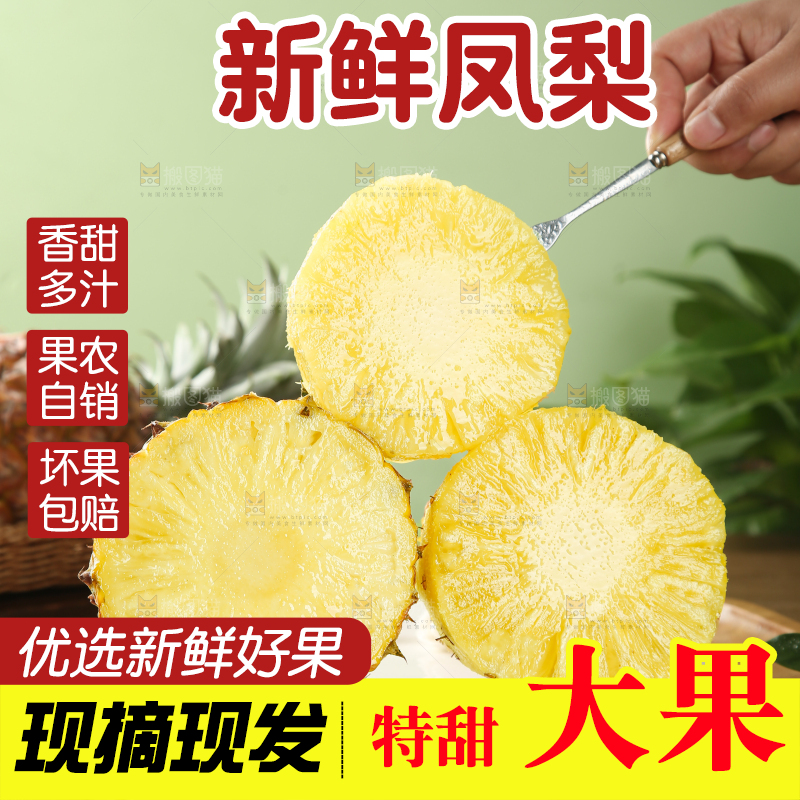 金钻凤梨