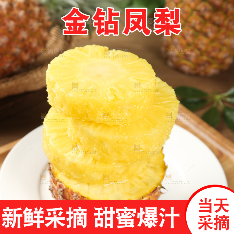 金钻凤梨