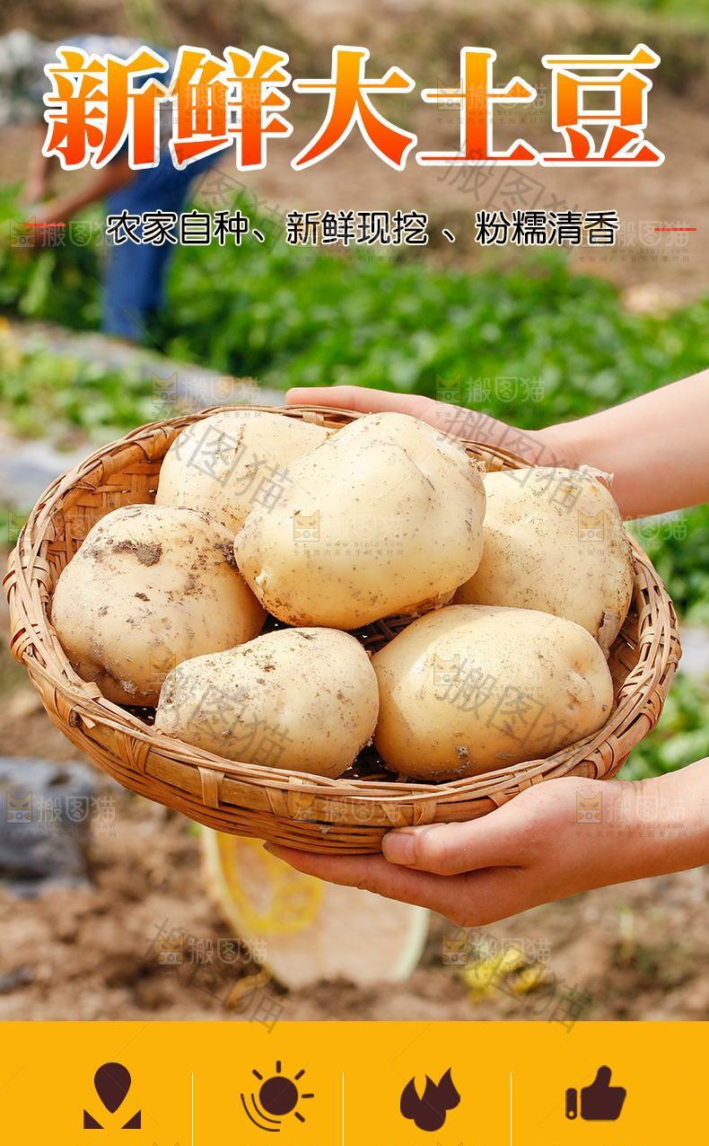 大土豆详情页