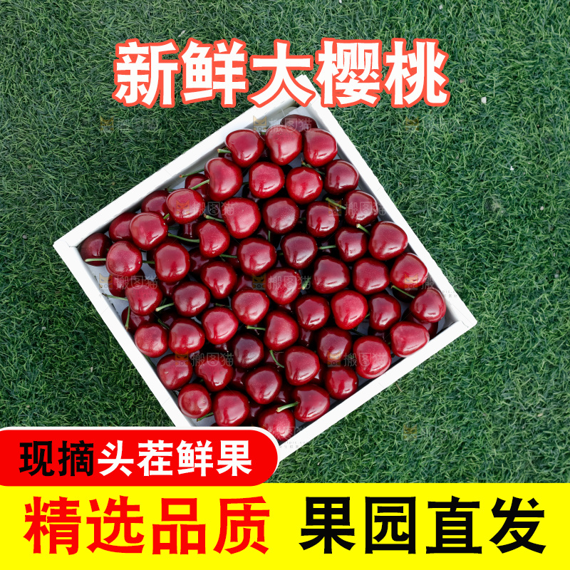 大樱桃
