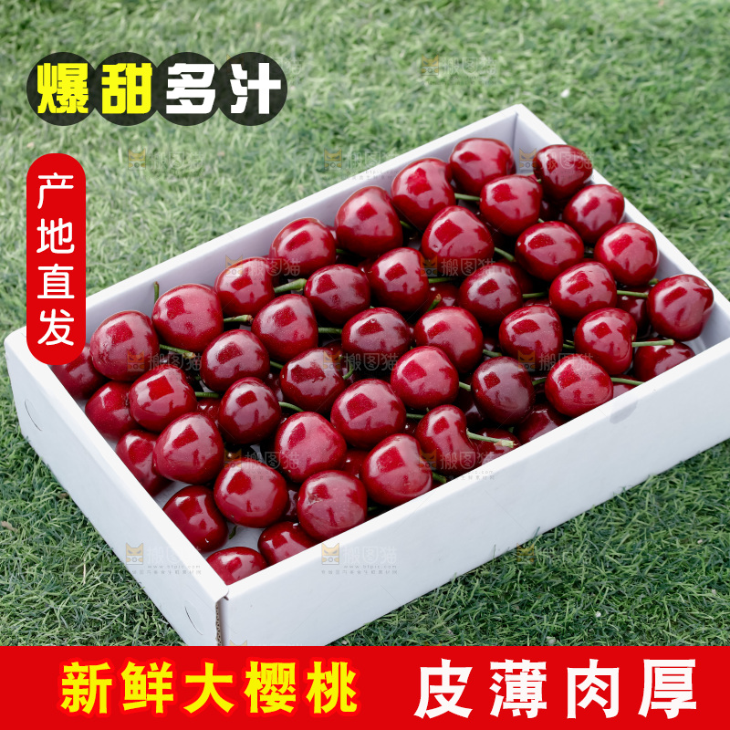 大樱桃