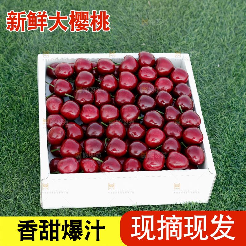大樱桃