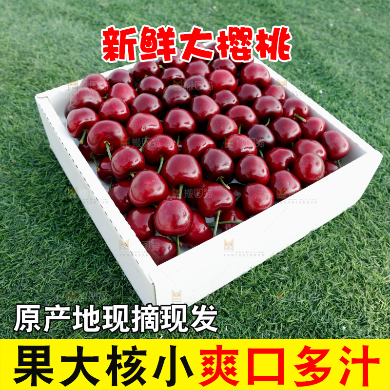 大樱桃