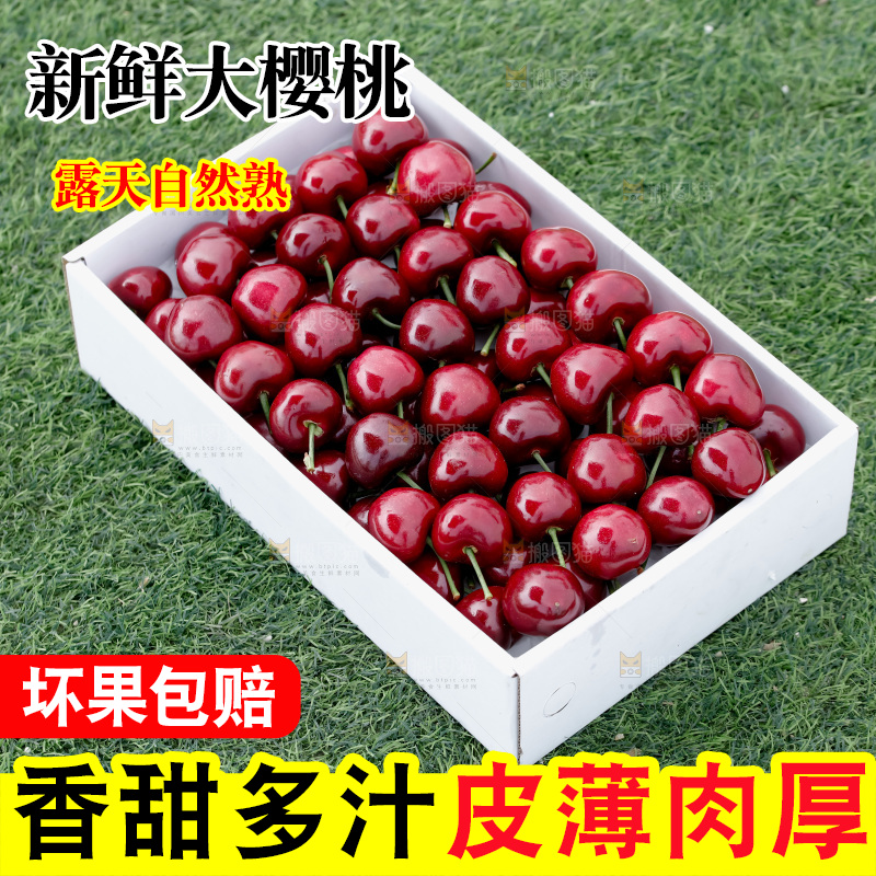 大樱桃