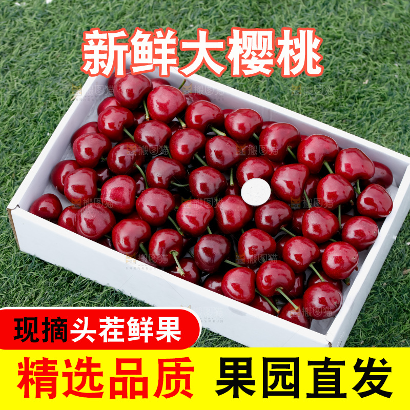 大樱桃