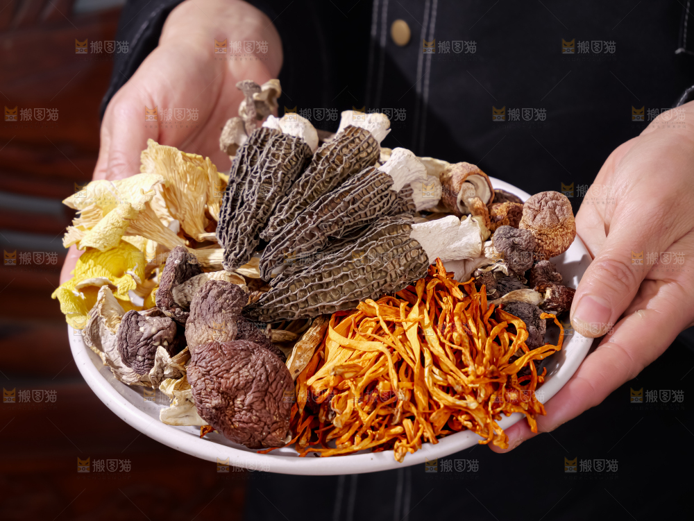 七彩菌菇包