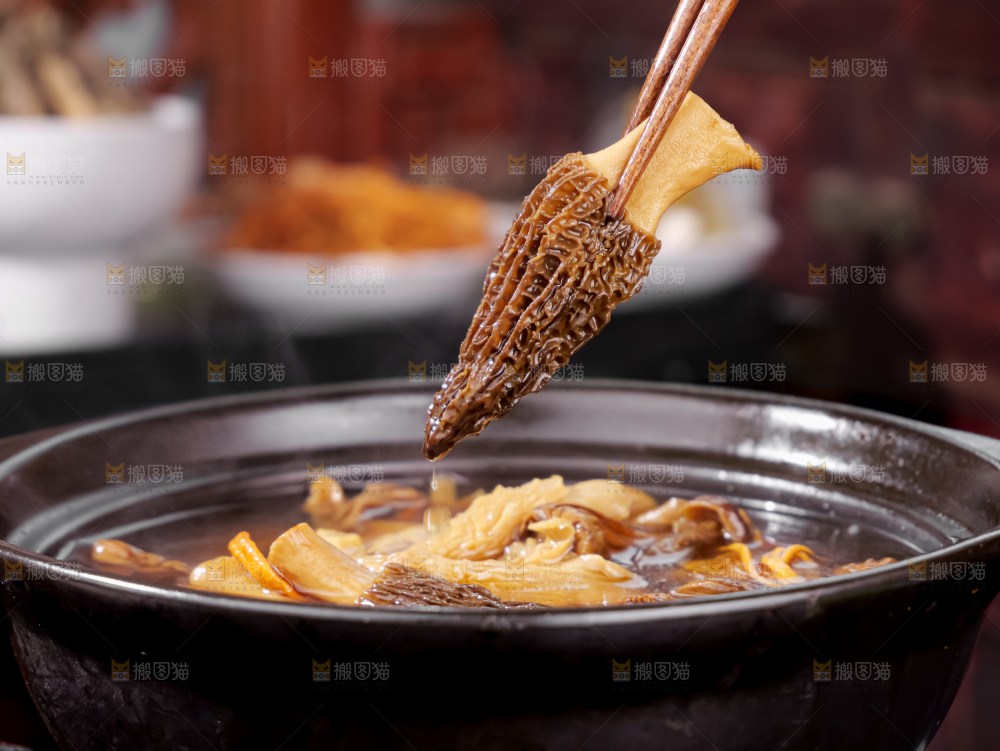 七彩菌菇包