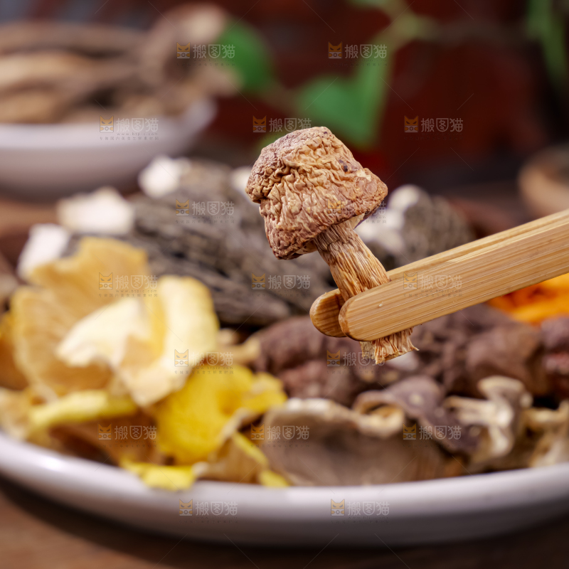 七彩菌菇包