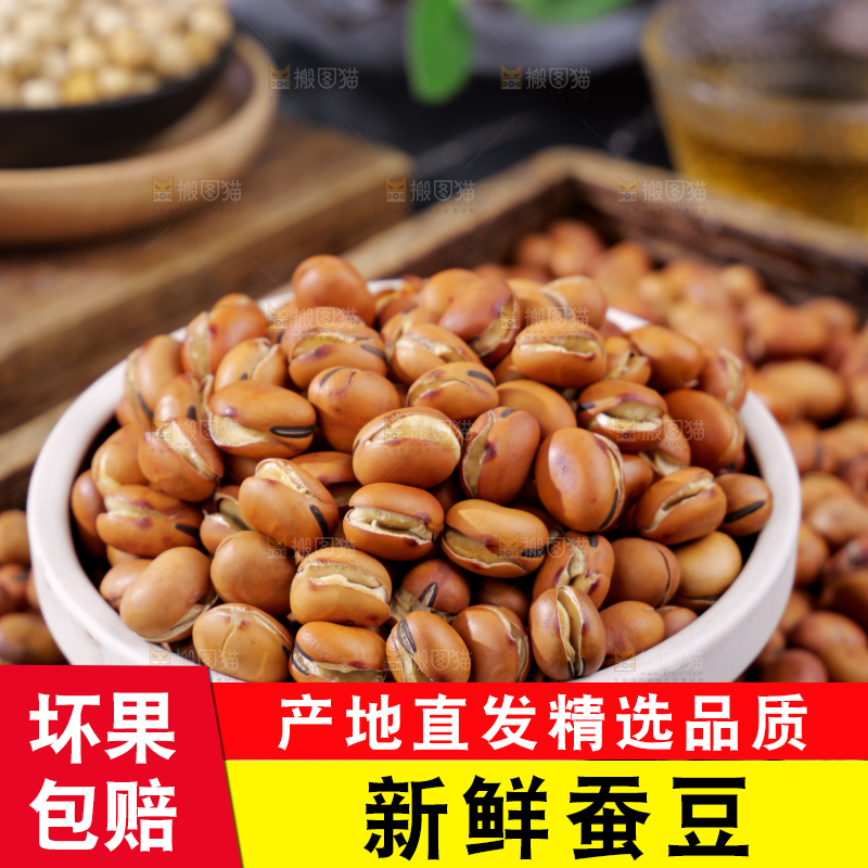 蚕豆