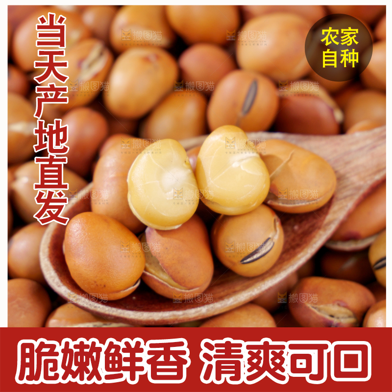 蚕豆