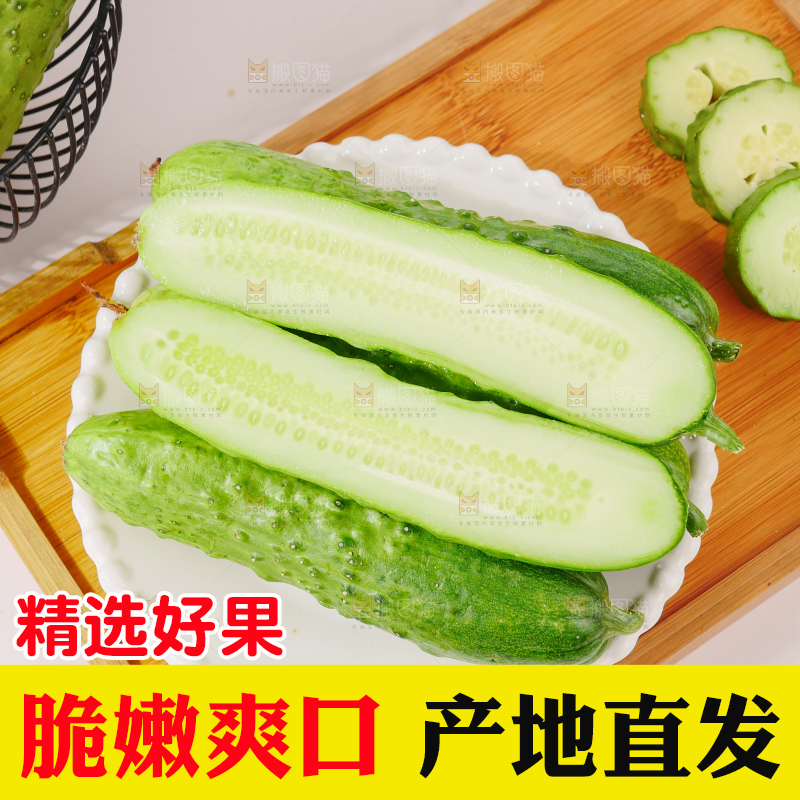 旱黄瓜