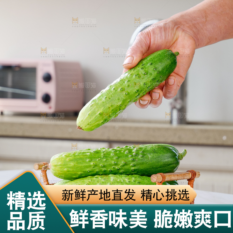 旱黄瓜