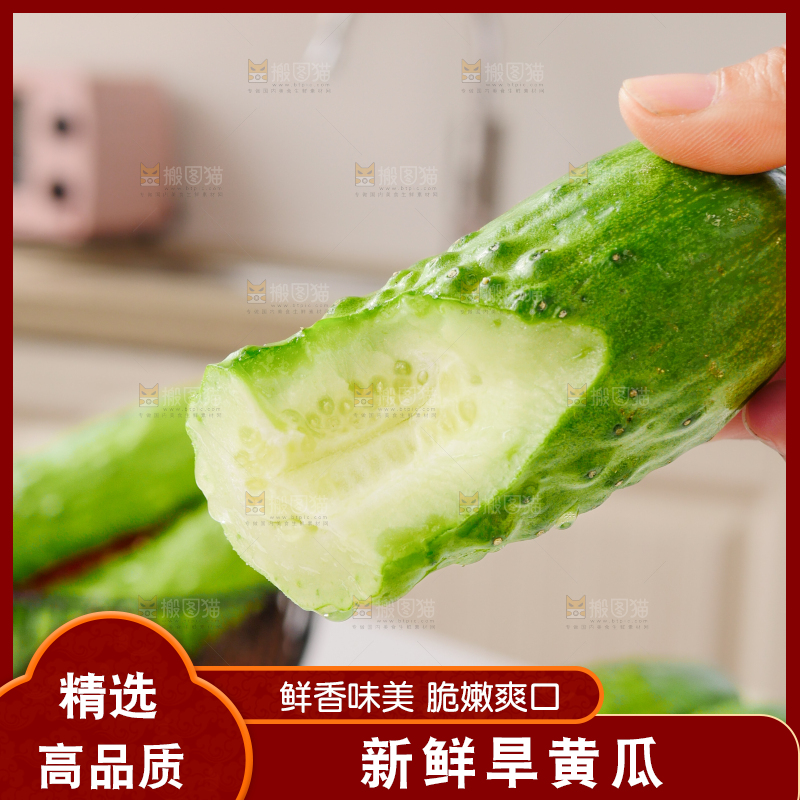 旱黄瓜