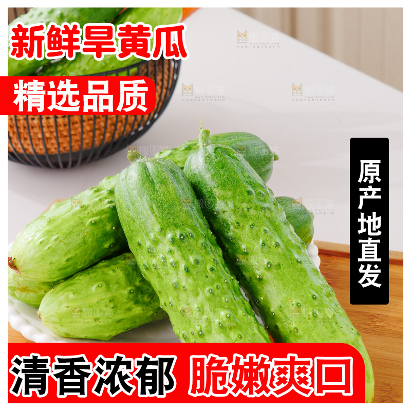 旱黄瓜