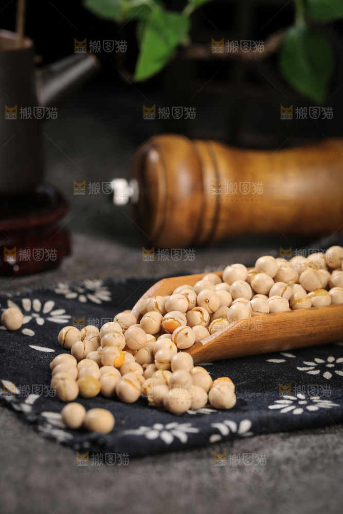 豌豆