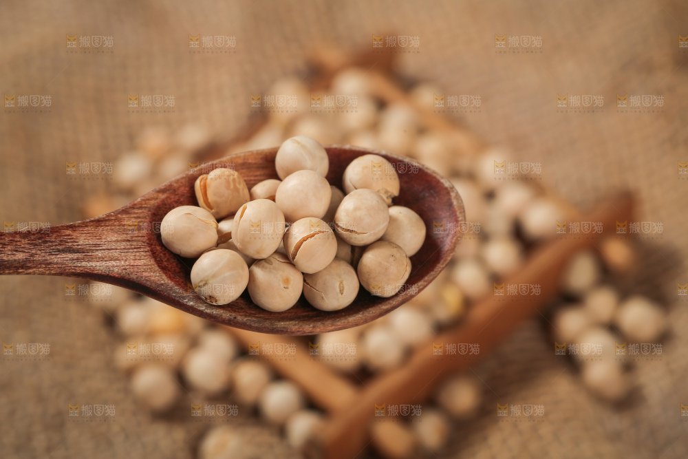 豌豆
