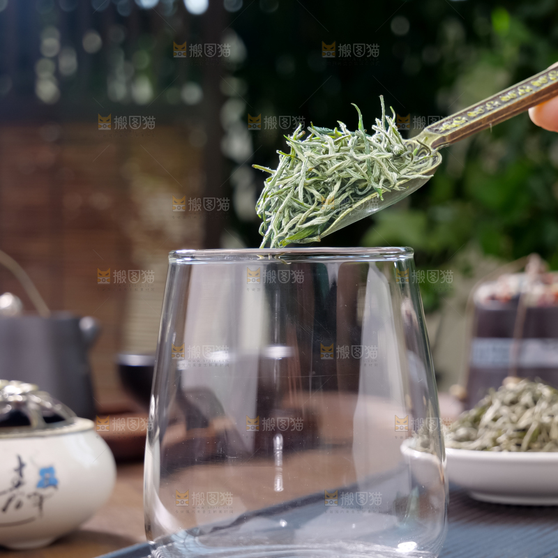 毛尖茶