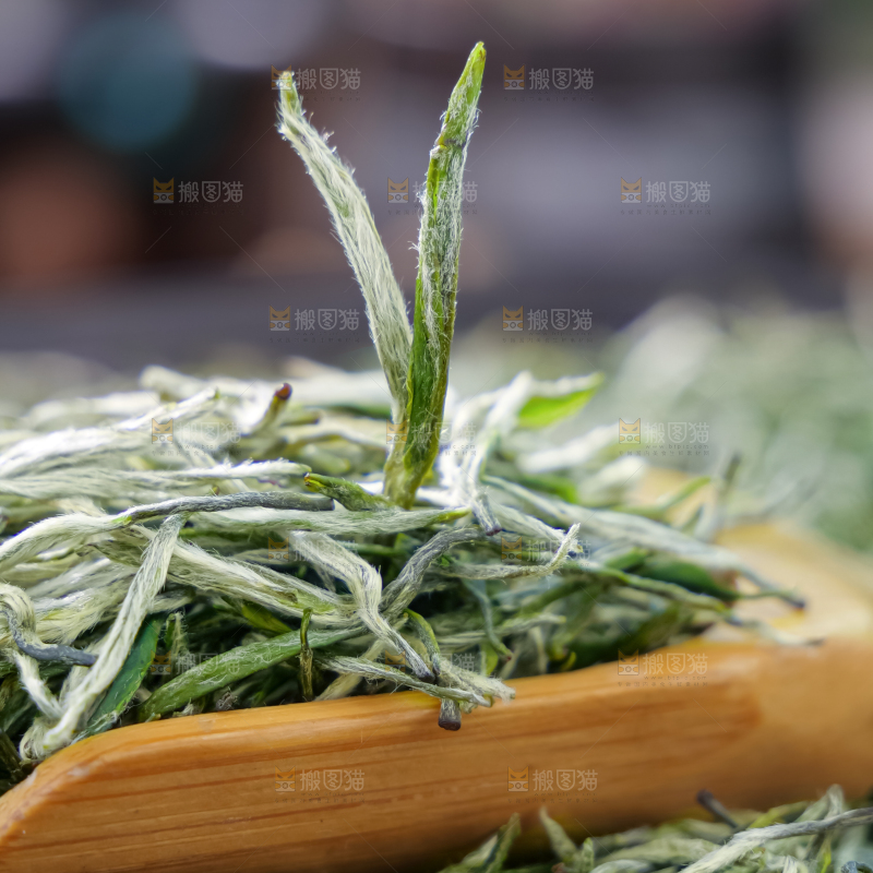 毛尖茶