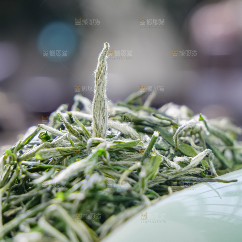 毛尖茶