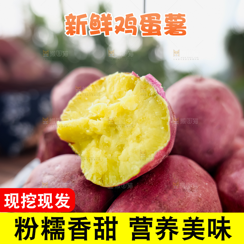 鸡蛋薯